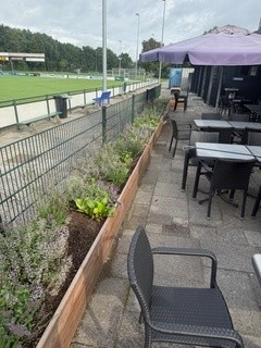 Upgrade van ons complex